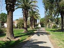 Kibbutz Kfar Masaryk